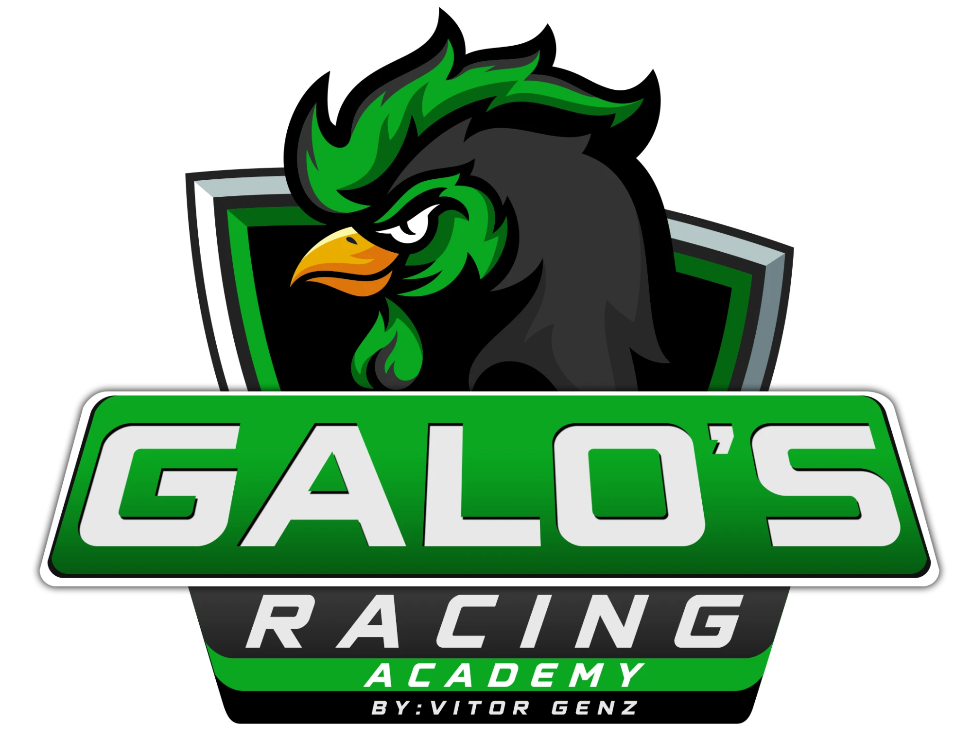 Galo's Racing Academy — by Vitor Genz